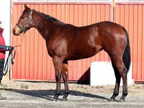 ����å��ǳ��������ɽ�����ޤ�