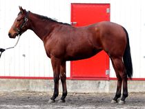 ����å��ǳ��������ɽ�����ޤ�