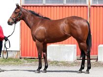 ����å��ǳ��������ɽ�����ޤ�