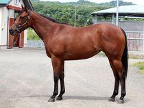 ����å��ǳ��������ɽ�����ޤ�