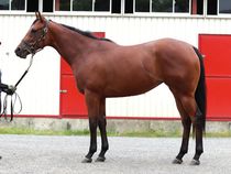 ����å��ǳ��������ɽ�����ޤ�