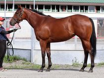 ����å��ǳ��������ɽ�����ޤ�