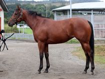 ����å��ǳ��������ɽ�����ޤ�