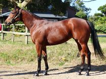 ����å��ǳ��������ɽ�����ޤ�