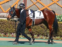 ����å��ǳ��������ɽ�����ޤ�