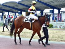 ����å��ǳ��������ɽ�����ޤ�