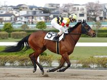 ����å��ǳ��������ɽ�����ޤ�