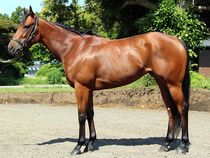 ����å��ǳ��������ɽ�����ޤ�