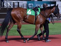 ����å��ǳ��������ɽ�����ޤ�