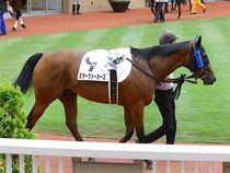 ����å��ǳ��������ɽ�����ޤ�