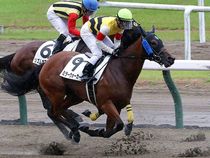 ����å��ǳ��������ɽ�����ޤ�