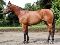 ����å��ǳ��������ɽ�����ޤ�