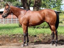 ����å��ǳ��������ɽ�����ޤ�