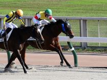 ����å��ǳ��������ɽ�����ޤ�