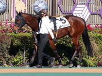 ����å��ǳ��������ɽ�����ޤ�