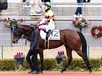 ����å��ǳ��������ɽ�����ޤ�