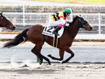 ����å��ǳ��������ɽ�����ޤ�