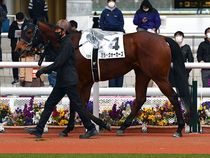 ����å��ǳ��������ɽ�����ޤ�