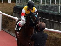 ����å��ǳ��������ɽ�����ޤ�