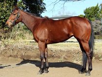 ����å��ǳ��������ɽ�����ޤ�