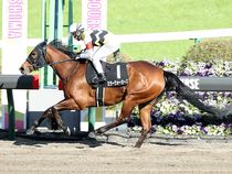 ����å��ǳ��������ɽ�����ޤ�