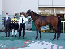 ����å��ǳ��������ɽ�����ޤ�