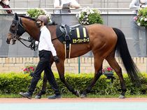 ����å��ǳ��������ɽ�����ޤ�