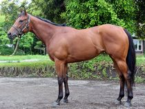 ����å��ǳ��������ɽ�����ޤ�