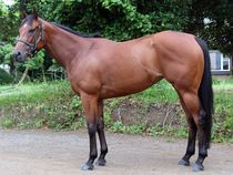 ����å��ǳ��������ɽ�����ޤ�