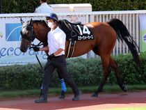 ����å��ǳ��������ɽ�����ޤ�