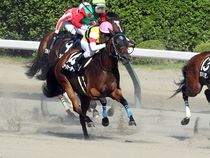 ����å��ǳ��������ɽ�����ޤ�