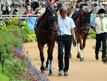 ����å��ǳ��������ɽ�����ޤ�