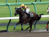 ����å��ǳ��������ɽ�����ޤ�