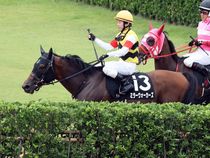 ����å��ǳ��������ɽ�����ޤ�