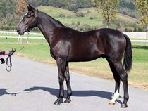 ����å��ǳ��������ɽ�����ޤ�