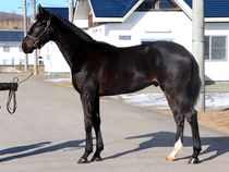 ����å��ǳ��������ɽ�����ޤ�