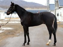 ����å��ǳ��������ɽ�����ޤ�