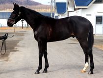 ����å��ǳ��������ɽ�����ޤ�