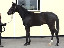 ����å��ǳ��������ɽ�����ޤ�