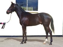 ����å��ǳ��������ɽ�����ޤ�