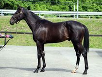 ����å��ǳ��������ɽ�����ޤ�