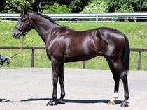 ����å��ǳ��������ɽ�����ޤ�