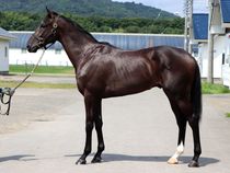 ����å��ǳ��������ɽ�����ޤ�