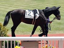 ����å��ǳ��������ɽ�����ޤ�