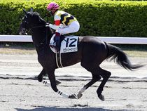 ����å��ǳ��������ɽ�����ޤ�