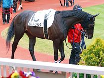 ����å��ǳ��������ɽ�����ޤ�