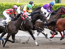 ����å��ǳ��������ɽ�����ޤ�