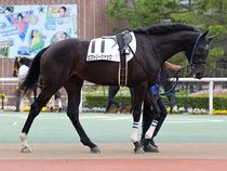 ����å��ǳ��������ɽ�����ޤ�