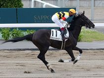 ����å��ǳ��������ɽ�����ޤ�