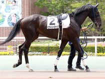 ����å��ǳ��������ɽ�����ޤ�